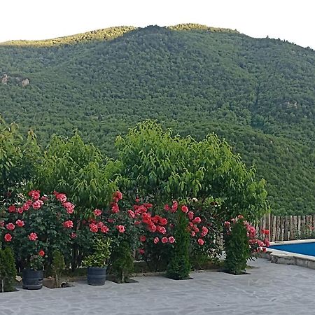 Green Garden Կանաչ Այգի Ijevan Exterior foto