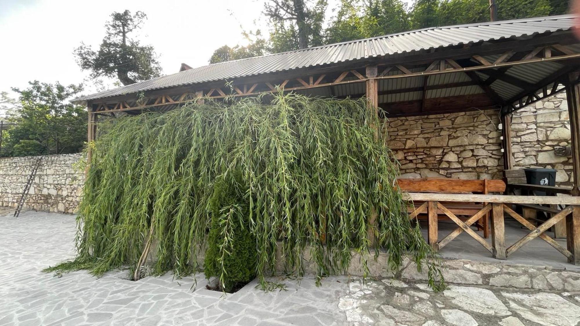 Green Garden Կանաչ Այգի Ijevan Exterior foto