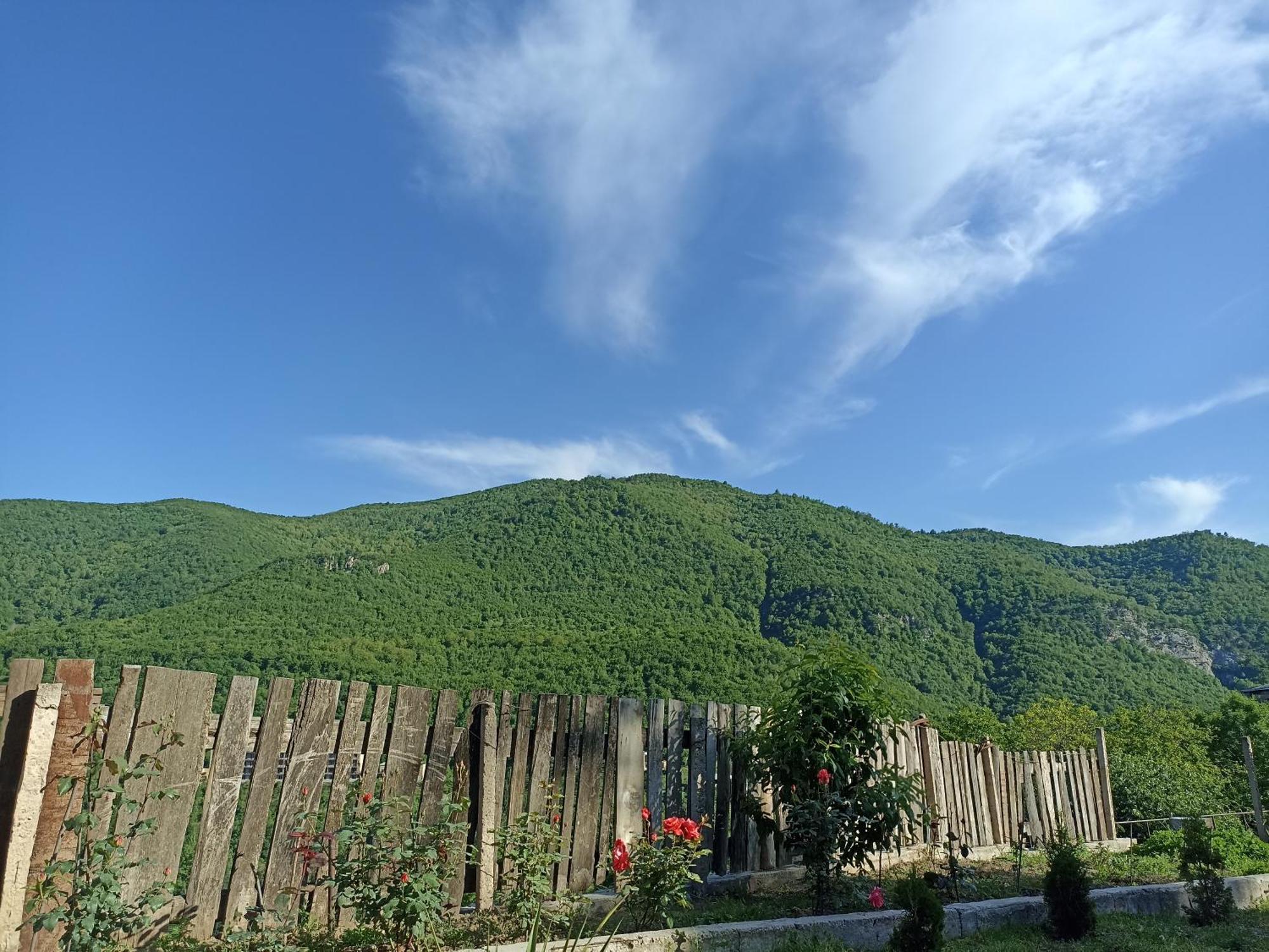 Green Garden Կանաչ Այգի Ijevan Exterior foto