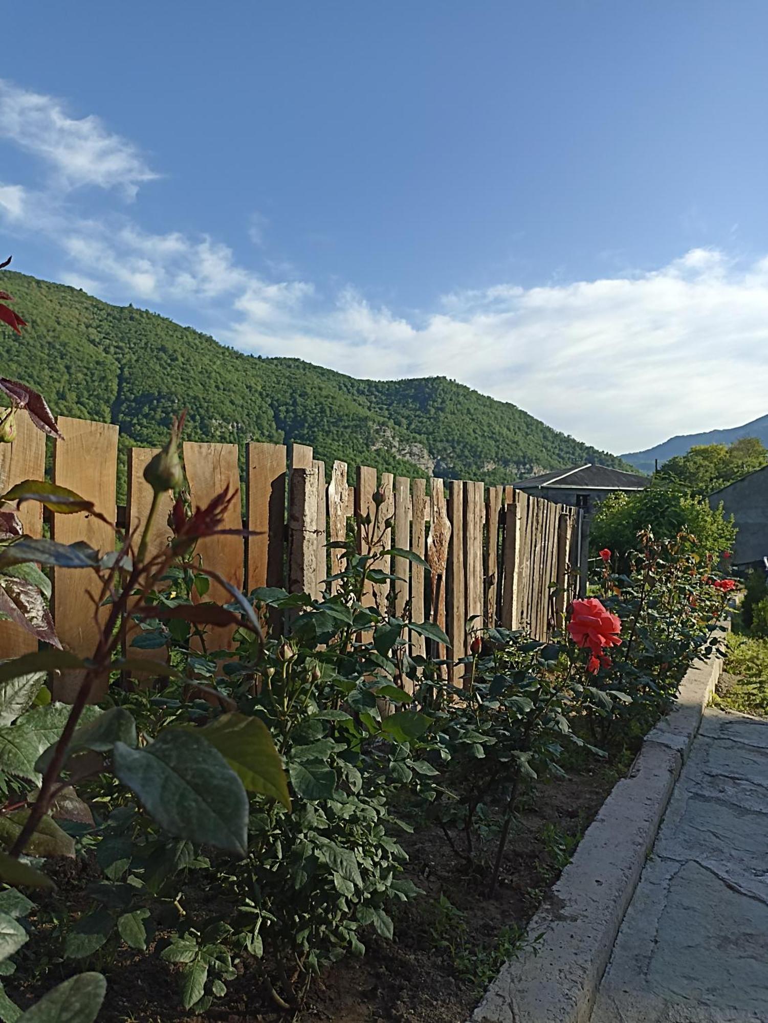 Green Garden Կանաչ Այգի Ijevan Exterior foto