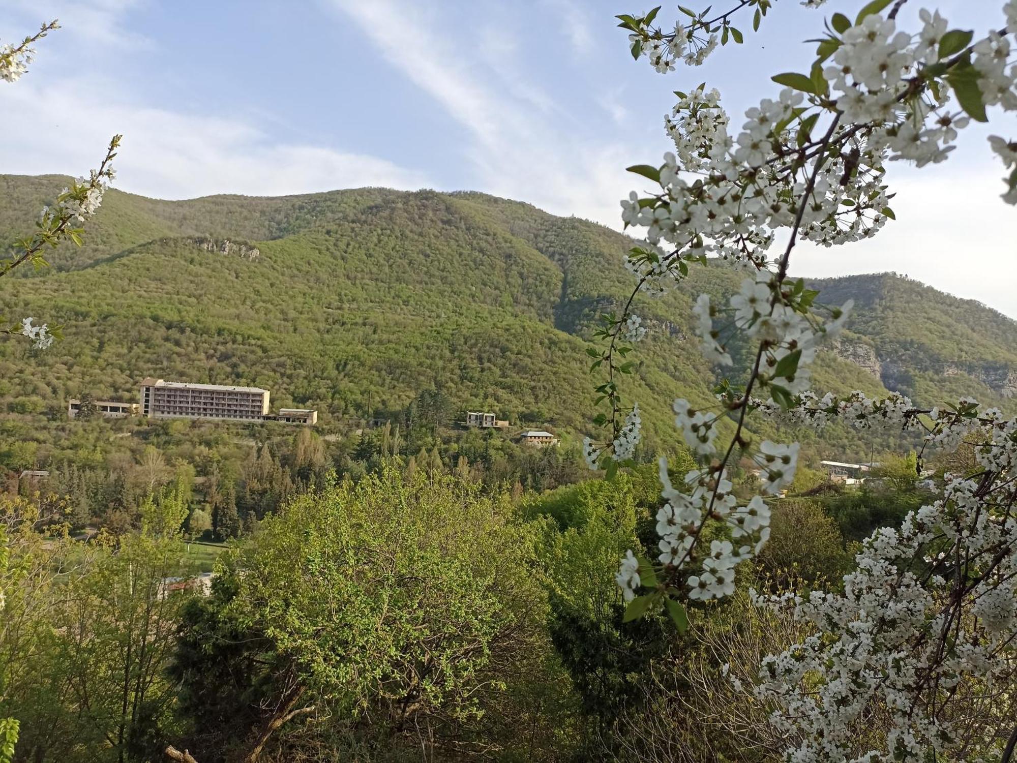 Green Garden Կանաչ Այգի Ijevan Habitación foto
